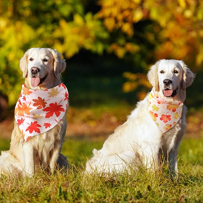 Chunful 100 Pieces Thanksgiving Dog Bandanas Bulk Fall Autumn Pet Bandanas for Small Large Dogs with Maple Leaves Patterns Triangle Scarf Bib Kerchief Set Costume Accessories (31.5 x 21.7 x 21.7)