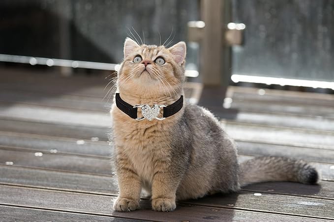 Heart Bling Cat Collar with Safety Belt and Bell Adjustable 8-10 inches for Kitten Cats (Black)