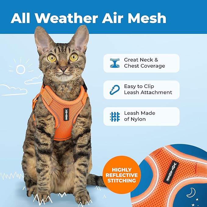 Voyager Escape-Proof Step-in Lock Cat Harness & 5ft Neoprene-Handle Leash Set All-Weather Mesh with Reflective Stitching for Small to Large Cats by Best Pet Supplies, Orange (327), XXXS