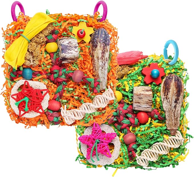 Bird Toys for Small & Medium Parrots - Natural Foraging & Shredding Cage Hanging Toys with Seagrass Mat, Starfruit, Loofah Slices for Budgies, Cockatiels, Lovebirds, Conures (2 PCS)