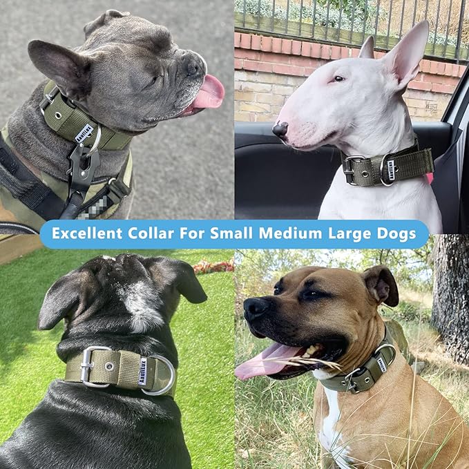 Heavy Duty Tactical Dog Collar - 1.5" Width Military Durable Thick Nylon with Adjustable Metal D Ring & Buckle Working Training K9 Collar for Medium Large Dogs (S(14"-17"), Army Green)
