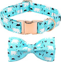 Dog Collar, Bow Dog Collar Blue Bear Pattern Pet Collar Dog Cute Bow Tie Soft Girl Boy Dog Collars with Metal Buckle for Small Dogs