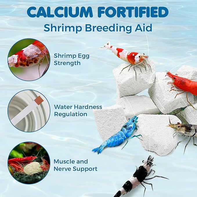 SunGrow Shrimp Rocks for Aquarium, 4-oz. Calcium Stones for Freshwater Aquarium Calcium Rocks for Snails, Recreate Shrimp Habitat, Feeder Discs for Crabs & Crayfish, Snail Tank Accessories