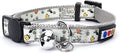 Pawtitas Glow in The Dark Cat Collar with Breakaway Safety Buckle & Bell Adjustable Kitten Collar, Grey