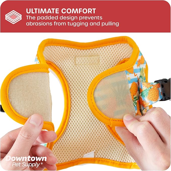 Downtown Pet Supply Step-in Dog Harness – No Pull, Adjustable Padded Mesh with Reflective Trim, Secure Buckle Strap – Comfortable & Breathable Small Dog Harness, Large, Pineapple