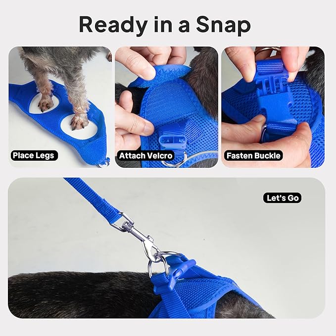 PetiFine Extra Small Step in Dog Harness and Leash Set, Cat Harness and Leash Escape Proof, All Weather Mesh Reflective, Step-in Velcro Air Vest Harnesses for Puppy(XXXS, Blue)