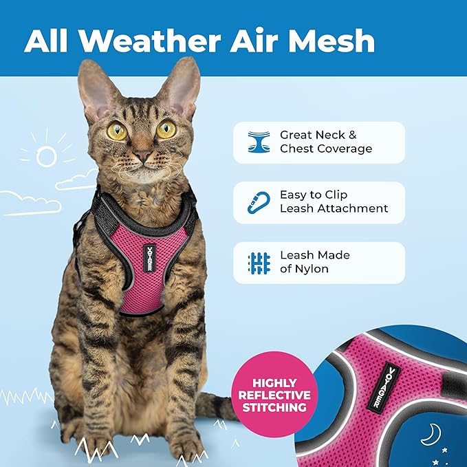 Voyager Escape-Proof Step-in Lock Cat Harness & 5ft Neoprene-Handle Leash Set All-Weather Mesh with Reflective Stitching for Small to Large Cats by Best Pet Supplies, Black Trim-Fuchsia (327), XXS