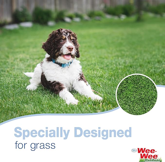 Four Paws Allen's Dog Waste Spring Action Pooper Scooper for Hard Surfaces, X-Large