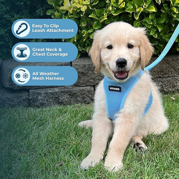 Best Pet Supplies Voyager Step-in Air All Weather Mesh Harness and Reflective Dog 5 ft Leash Combo with Neoprene Handle, for Small, Medium and Large Breed Puppies - Set (Baby Blue), XL