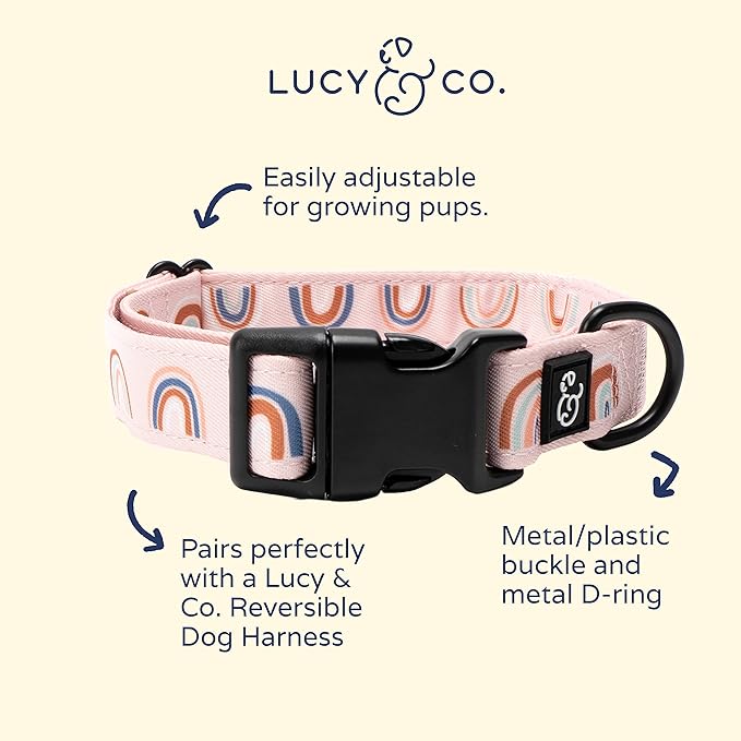 Lucy & Co. in The Clouds Adjustable Dog Collar- Cute Designer Pet Collar for Small, Medium, Large Dogs- Buckle Closure Dog Accessories, Large, Pink Rainbows