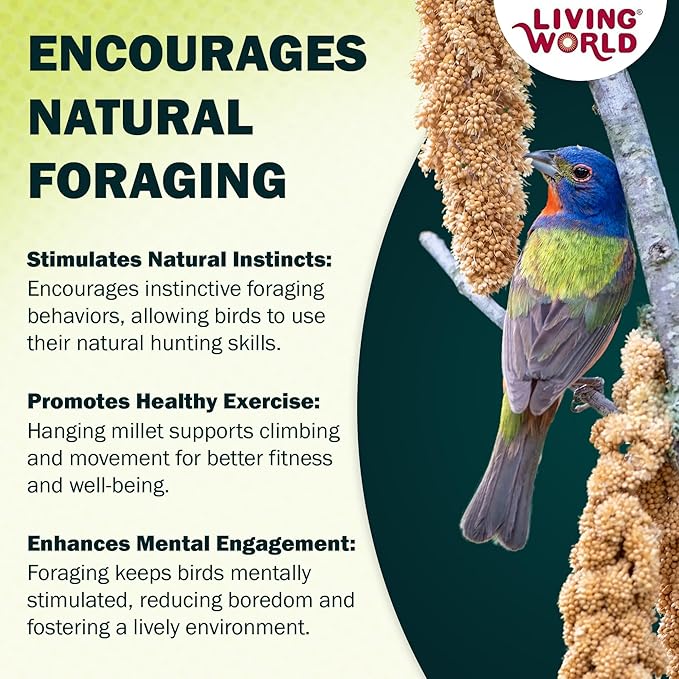 Living World – Millet Spray for Birds,7 Oz – Premium Treat for Budgies,Canaries,Finches,Cockatiels and Other Pet Birds,(Pack of 2)