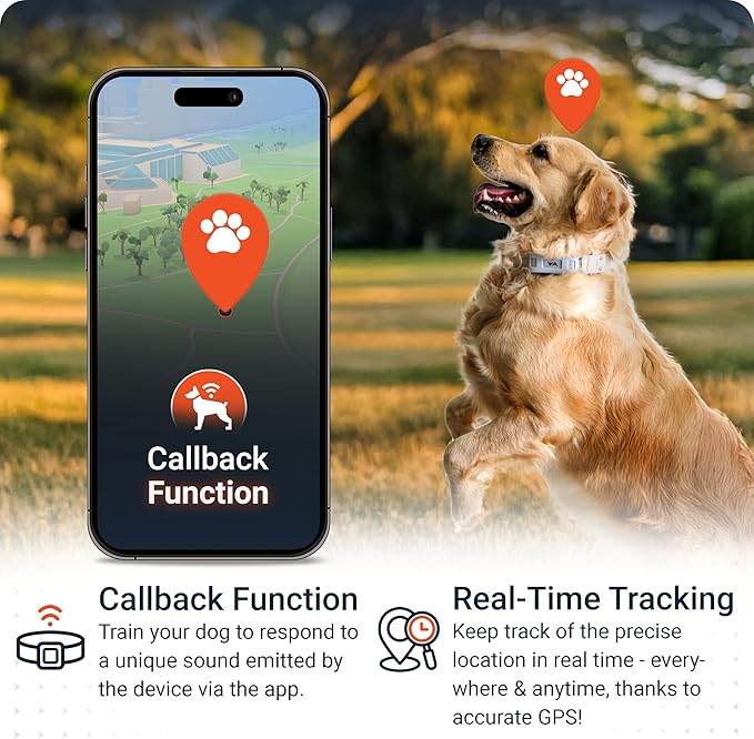 PAJ GPS Tracker for Dogs - 4G GPS Collar Tag with Real-Time Location Tracking & Runaway Alert - Waterproof & Up to 10 Days Battery Life - Fits Any Collar w/Glowing LEDs - Subscription Required - Grey