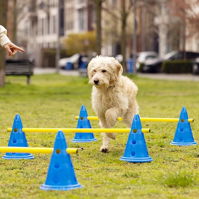 Navaris Dog Agility Equipment Set - Cone and Pole for Training and Exercise Jumps - Plastic Dog Agility Beginner Course - 6X Cones, 3X Poles