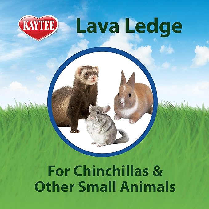 Kaytee Lava Ledge for Attaching To Small Pet Animal Wire Habitats