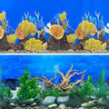 Aquarium Background Seabed Coral Rock Water Plants Fish Tank Backdrop 10 20 Gallon Fish Tank Background for Aquarium