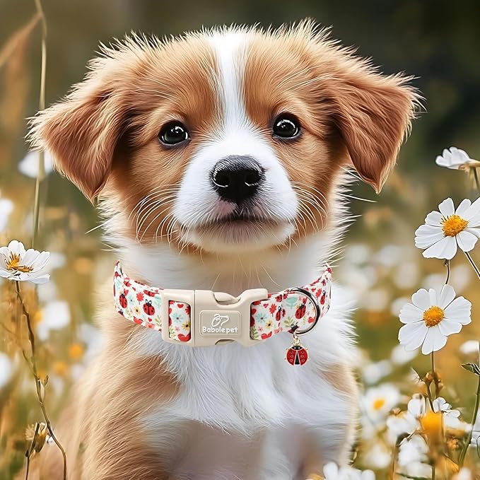 Ladybug Dog Collar for Large Dogs - Cute Spring/Summer Dog Collar, Lightweight Adjustable Cartoon Love Bug Garden Mom Dogs Collars with Quick Release Buckle L