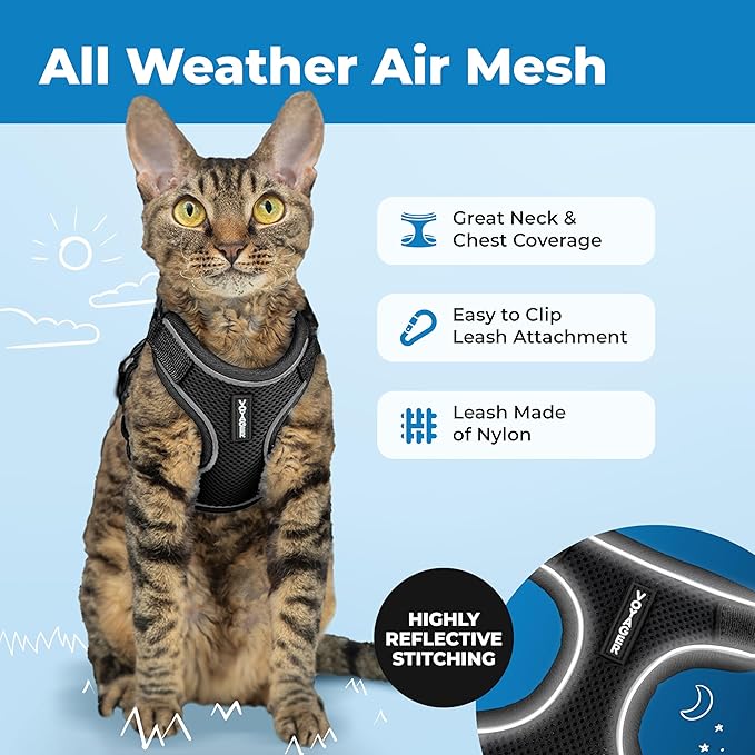 Voyager Escape-Proof Step-in Lock Cat Harness & 5ft Neoprene-Handle Leash Set All-Weather Mesh with Reflective Stitching for Small to Large Cats by Best Pet Supplies, Black (327), S