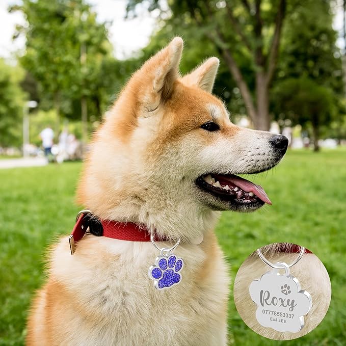 EDSG Cat Dog Tags Personalized for Pets, Dog Name Tags Cat Name ID Tag, Engraved Dog Tags Dog ID Tags Small Glitter Bling ID Tag Paw Print for Cat Pet Dog Puppy(Blue,Design 4)