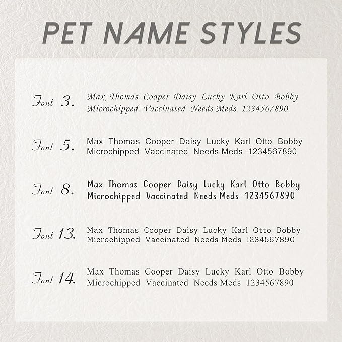Anavia Small Size Dog Cat ID Tags, Small/XS Personalized Color Plated Stainless Steel Puppy Kitten Name Tags, Customized Engraved Nameplate Pet Collar Tag (Silver, XS-Rectangle)