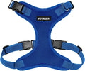 Voyager Step-in Pet Harness - All Weather Mesh, Adjustable Step in Harness for Cats and Dogs by Best Pet Supplies - Royal Blue, XS