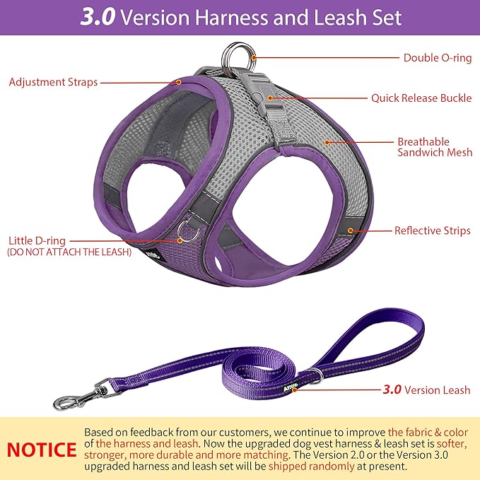 AIITLE No Pull Dog Harness and Leash Set, Step in Adjustable Dog Harness with Padded Vest for All Weather, Dog Leash with Soft Padded Handle, Easy to Put on Small and Medium Dogs Purple S