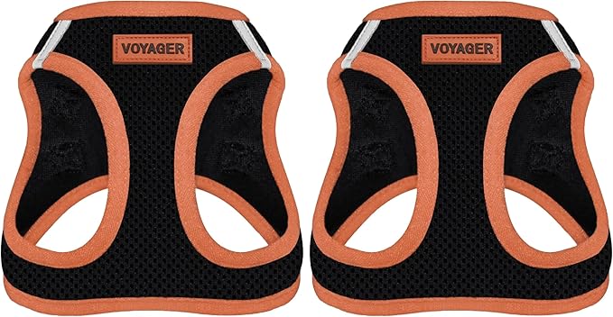 Voyager Step-in Air Dog Harness - All Weather Mesh Step in Vest Harness for Small and Medium Dogs by Best Pet Supplies - Orange Trim, M (Pack of 2)