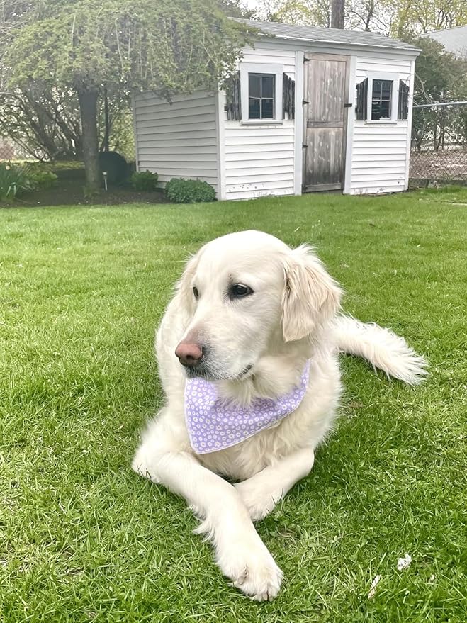 Lionet Paws Spring Daisy Dog Bandana Washable Cotton Handkerchief Scarf Triangle Purple Bandana for Small Medium Large Dogs Girl Boy