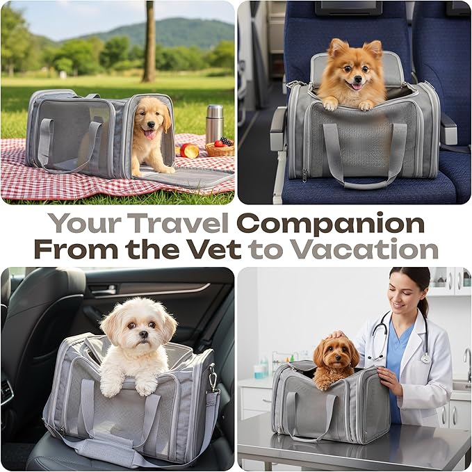 Pet Carrier for Cats, Rabbits, Guinea Pigs – Airline Approved Soft-Sided Travel Bag, Lightweight Dog Carrier, Ventilated & Foldable (Grey, Medium)