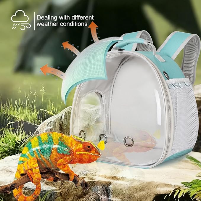 Guinea Pig Backpack Carrier, Bearded Dragon Carrier Backpack with Clear Bubble Window,Small Animal Travel Backpack for Hedgehog Rat，Chameleon,Rabbit,Sugar Glider,Airline Approved (Green, Backpack)