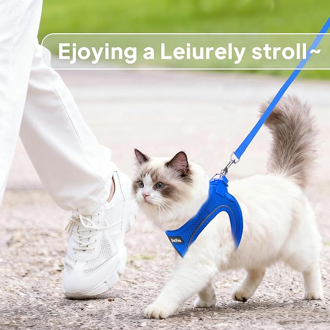 PetiFine Extra Small Step in Dog Harness and Leash Set, Cat Harness and Leash Escape Proof, All Weather Mesh Reflective, Step-in Velcro Air Vest Harnesses for Puppy(XXXS, Blue)