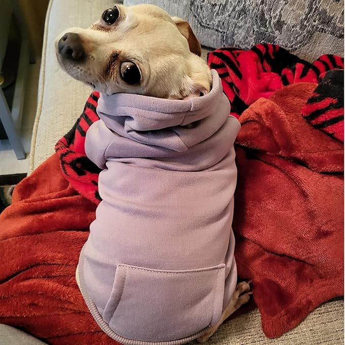 Jecikelon Winter Dog Hoodie Sweatshirts with Pockets Warm Dog Clothes for Small Dogs Chihuahua Coat Clothing Puppy Cat Custume (Purple, Small)