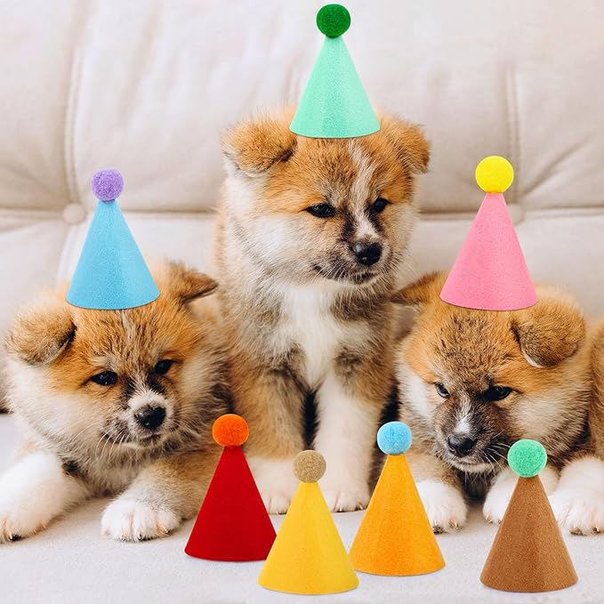 10 Pcs Mini Birthday Party Hats Multicolor Lovely Cone Hats for Animals Stuffed Pets Birthday Holiday Accessories Decoration Supplies
