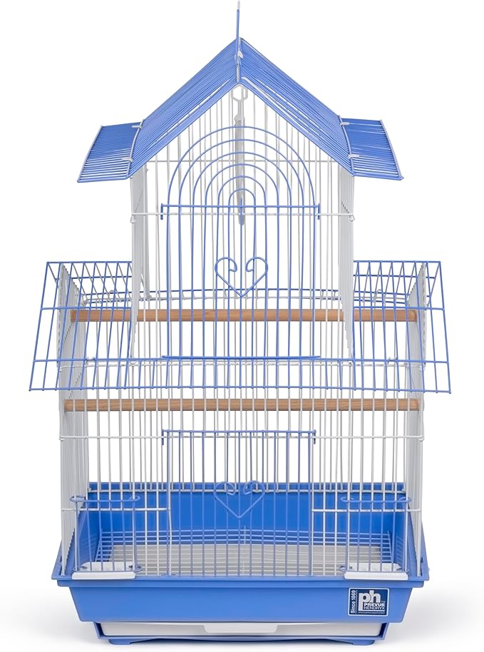 Prevue Hendryx SP1720-2 Shanghai Parakeet Cage, Blue and White