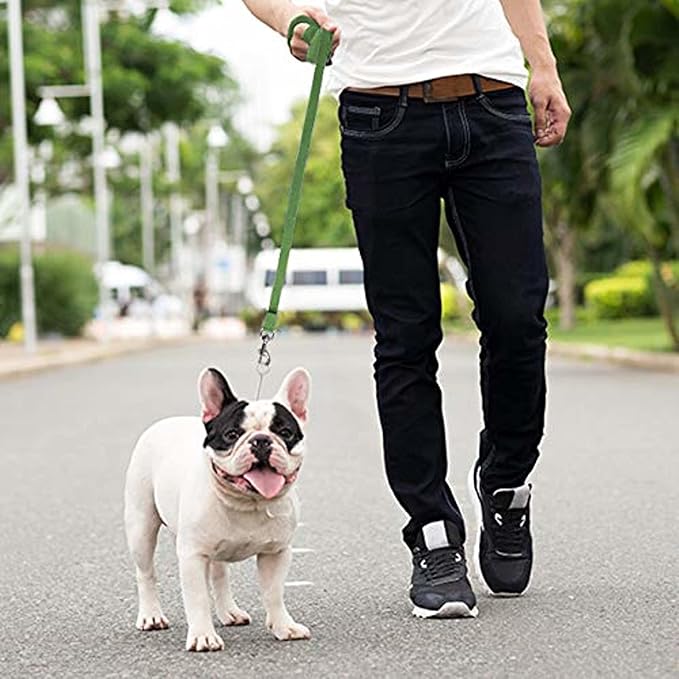 Downtown Pet Supply - Long Dog Training Leash for Recall & Obedience - Nylon, 30 ft, Hunter Green