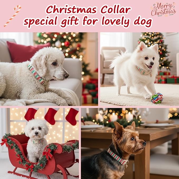 Polyester Collar for Dog, Adjustable Christmas Dog Collar for Extra Medium Dogs, Cute Dog Collar with Green & Red Stripe for Small Medium Large Dogs, Perfect for Girl or Boy Dog Collar-M