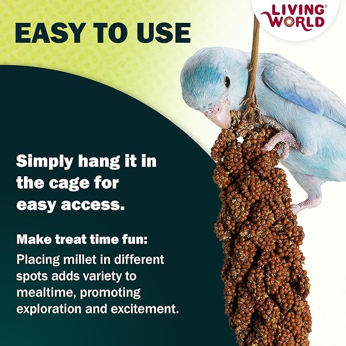 Living World – Millet Spray for Birds,7 Oz – Premium Treat for Budgies,Canaries,Finches,Cockatiels and Other Pet Birds,(Pack of 2)