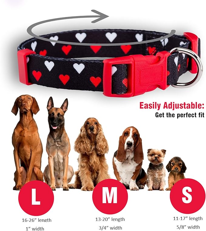 Native Pup Valentine Dog Collar - Valentine's Day Pet Collar - Girly Hearts - Pink & Red Heart - Cute Boy & Girl Puppy Gift - Adjustable for Small, Medium, Large Breeds (White & Red Hearts, Medium)