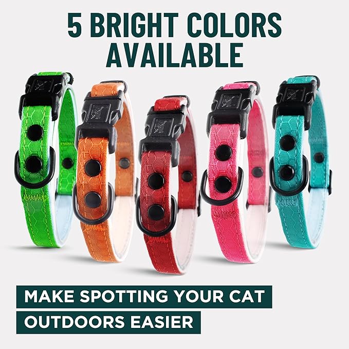 OutdoorBengal Blue Breakaway Kitten Collar - Ultra Safe Quick Release Cat Collar for Small Kittens Under 6 Months – Soft-Padded, Lightweight, Adjustable, Thin and Comfortable, No Bell (Blue, Kitten)