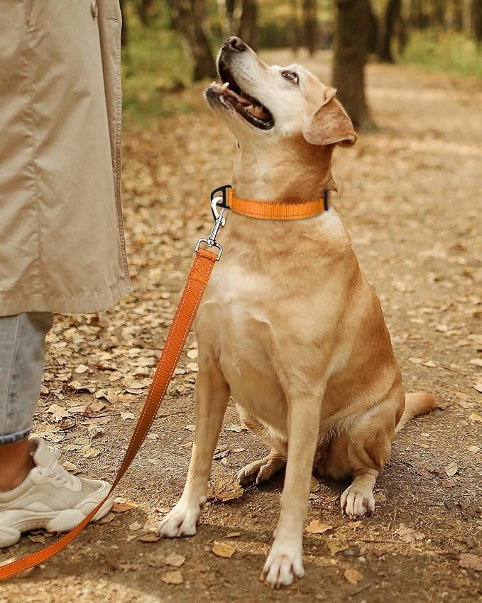 TagME Reflective Nylon Dog Collars, Adjustable Classic Pet Collar with Quick Release Buckle for Extra Large Dogs, Orange, 1¼" Width