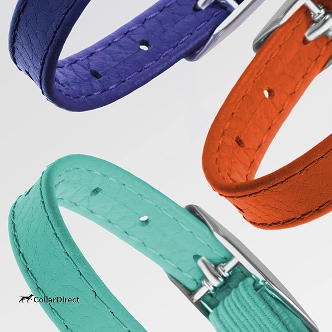 CollarDirect Leather Cat Collar, Kitten Collar with Removable Bell Black Blue Red Orange Lime Green (8-11 Inch, Orange)