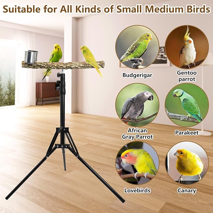 kathson 28-60inches Height Adjustable Bird Perch, Pepperwood Parrot Perch Stand with Feeding Cup, Multi-Purpose Bird Perches for Indoor and Outdoor Use, Designed for Small Medium Birds (3 PCS)