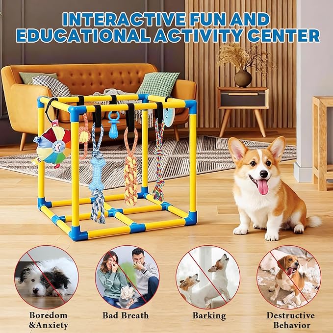 Puppy Play Gym for Small Dogs with 10 Hanging Toys, Removable Indoor Jungle Gym, PVC Frame with Adjustable Bungee Straps, Interactive Dog Toys Tug Toys for Dogs Rope Toy to Keep Them Busy