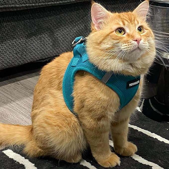 Best Pet Supplies Voyager Step-in Air Harness - All Weather Mesh, Reflective, No Pull Harness for Dogs, Cats - Secure with Hook & Loop Fastener, Buckle, Double D-Rings - Turquoise, XXXS