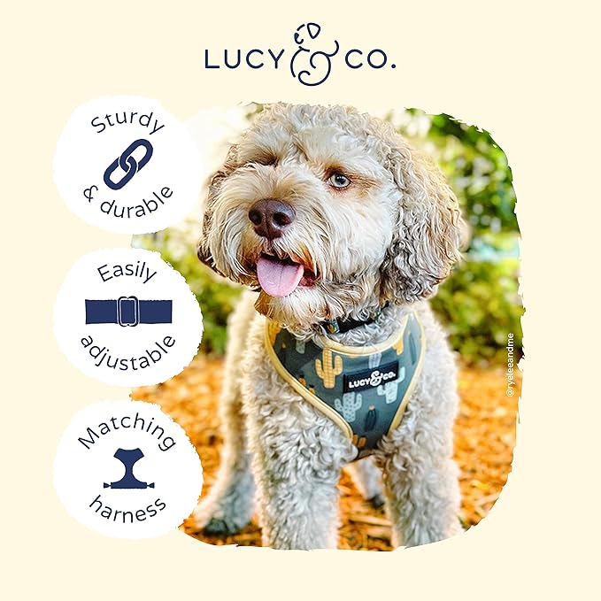 Lucy & Co. Looking Sharp Dog Collar - Durable Lightweight Designer Collar for Pets - Adjustable Metal Safety Buckle - Green Gold Cactus - Large