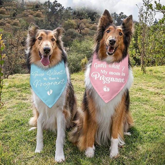 2 Packs Baby Announcements Ideas Guess What? My Mom is Pregnant Pregnancy Announcement Dog Bandana Gender Reveal Pet Dog Triangle Scarf Accessories for Small Medium Large Dogs Cats