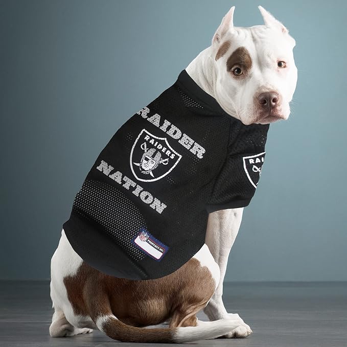 Pets First NFL DOG BANDANA - LA RAIDERS REVERSIBLE PET BANDANA. 2 Sided Sports Bandana with a PREMIUM Embroidery TEAM LOGO, Large/X-Large. - 2 Sizes & 32 NFL Teams available