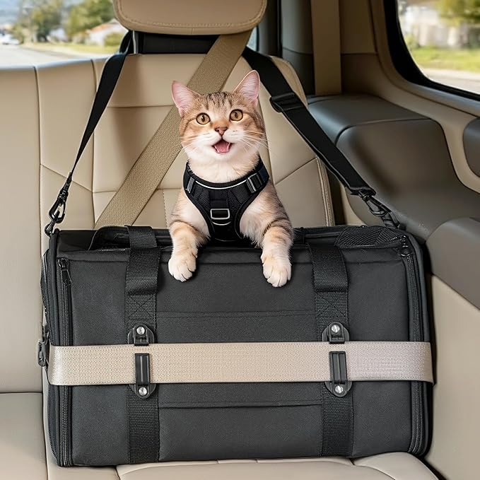 PETSFIT Large Cat Car Carrier with Patented Safety Buckles(19 x 12 x 12) – Roomy Escape-Proof for Safe Driving, Lockable Zippers & Safety Tether, Soft-Sided Travel Carrier for Road Trips & Vet Visits