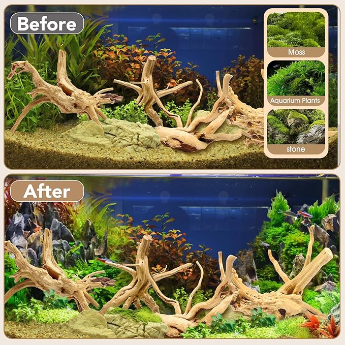 Jorewood Natural Small Spiderwood Driftwood for Aquarium Decor Rptile Fish Tank Decoration Assort Branch 4-7'' 8 Pcs