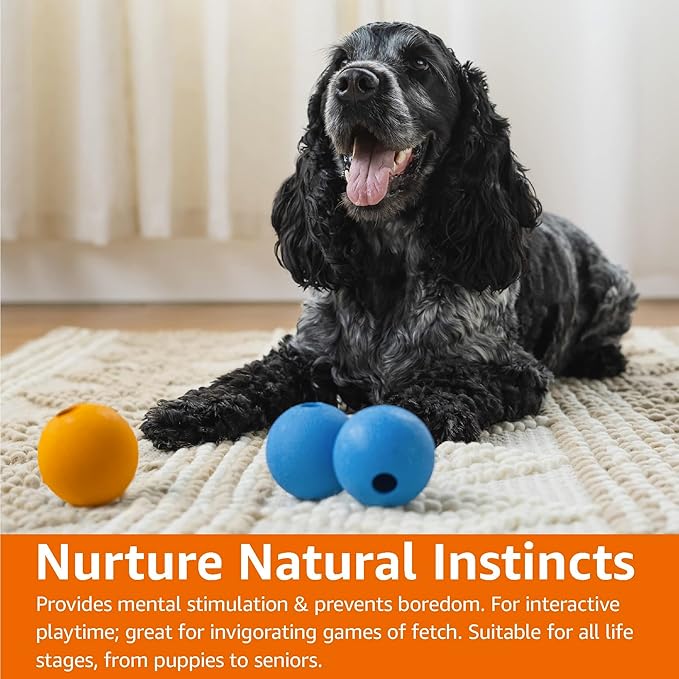 Amazon Basics Interactive Bouncy Supreme Durable Natural Rubber Dog Toy Balls, Easy to Clean, 2.5 inch, Blue, Orange, Pack of 3