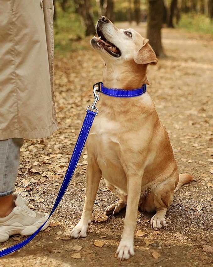 TagME Reflective Nylon Dog Collars, Adjustable Classic Pet Collar with Quick Release Buckle for Large Dogs, Royal Blue, 1.0" Width